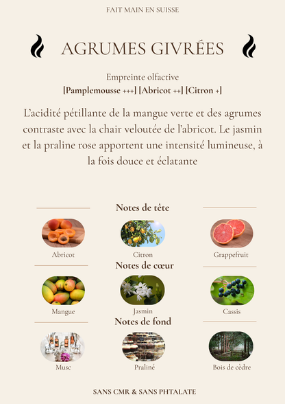 Diffuseur de parfum pour voiture de Noël