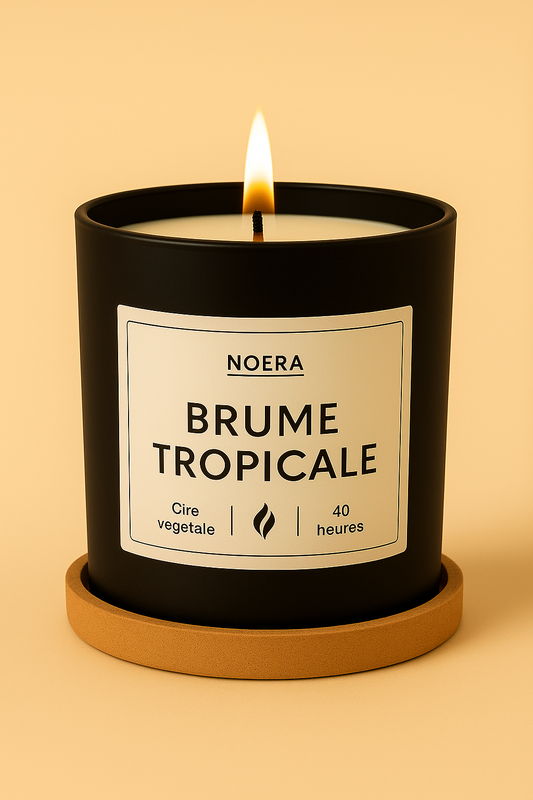 Brume tropicale
