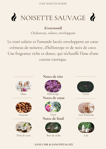 Diffuseur de parfum pour voiture